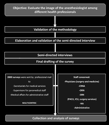 The Perception of the Anesthesiologist Among the Medical, Paramedical and Administrative Staff